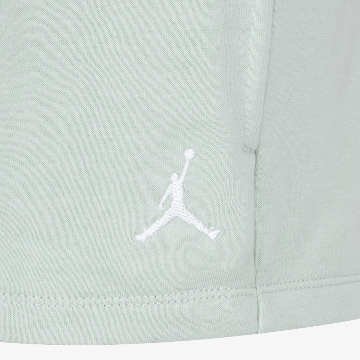 Nike Jordan Brooklyn Shorts