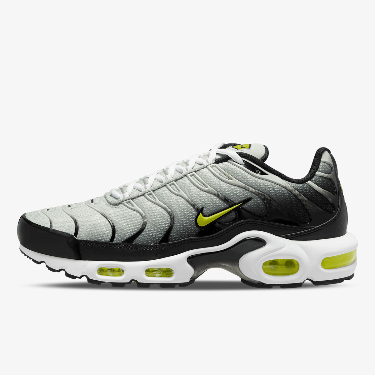 Air max plus buzz online