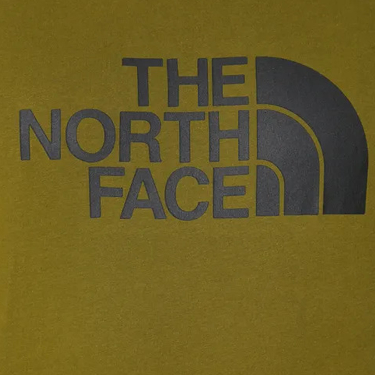 The North Face Маица M S/S EASY TEE 
