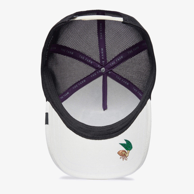 Goorin Bros Kapele Silky Chick 