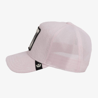 Goorin Bros Kapele TERRY CLOTH KOALA 