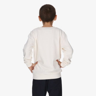 Champion Дуксер SKATE SWEATER B 
