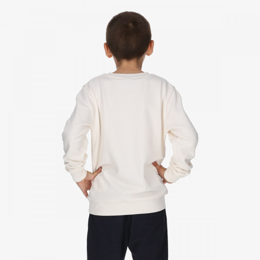 Champion Дуксер SKATE SWEATER B 