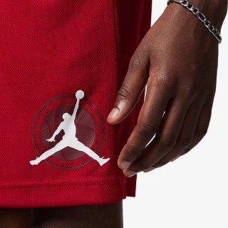 Nike Шорц Jordan 