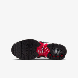 Nike Atlete AIR MAX PLUS BG 