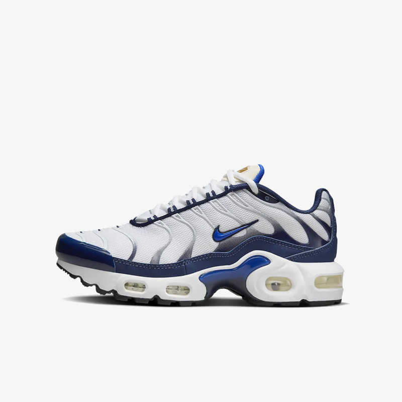 Nike Патики AIR MAX PLUS BG 