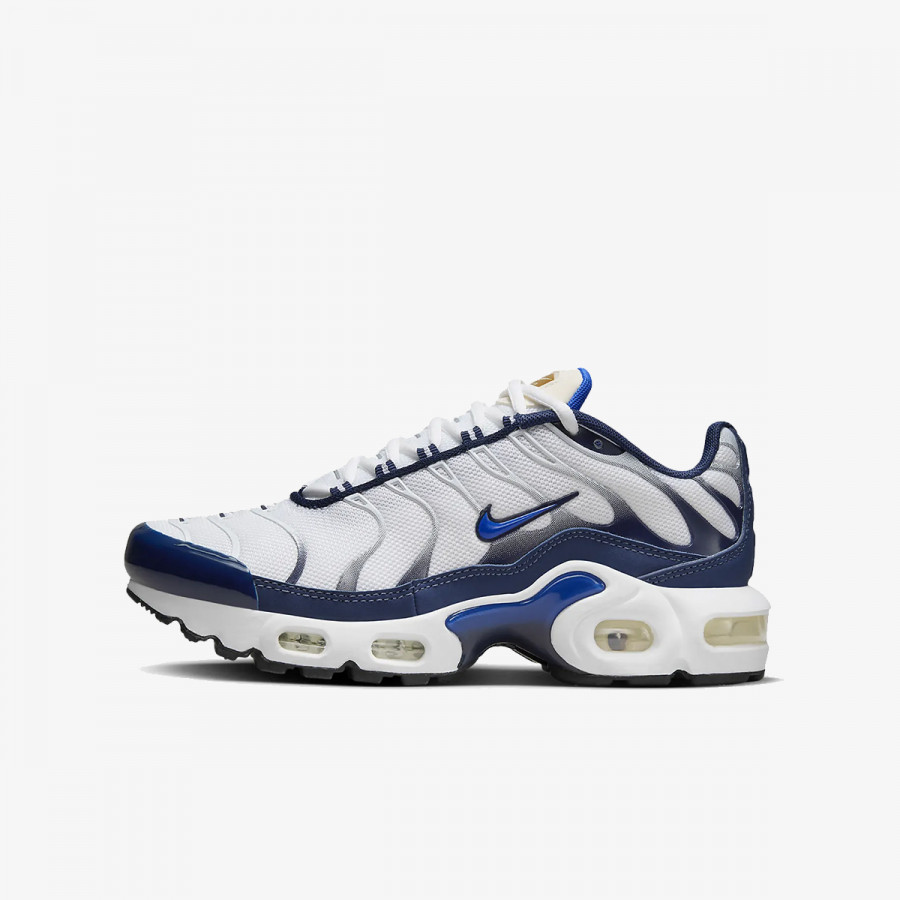 Nike Патики AIR MAX PLUS BG 