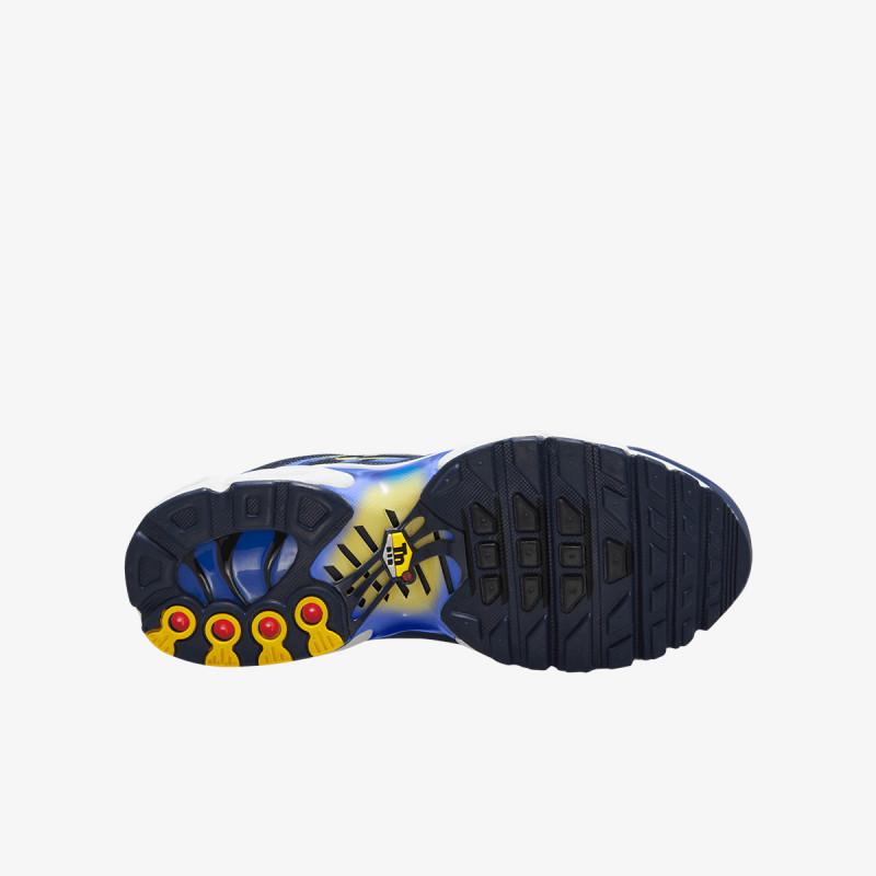 Nike Патики NIKE AIR MAX PLUS (GS) 