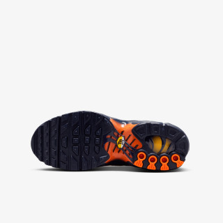 Nike Патики AIR MAX PLUS BG 