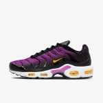 Nike Патики W AIR MAX PLUS BODY FADE 