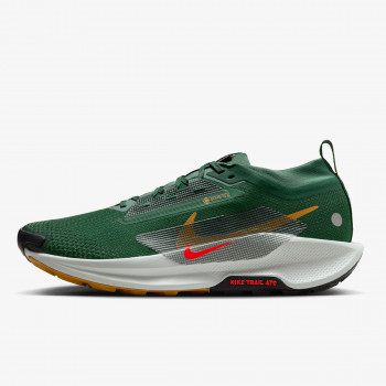 Nike Патики Pegasus Trail 5 Gore-tex 