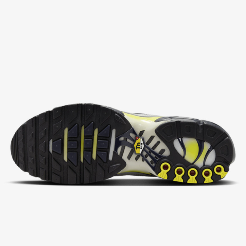 Nike Патики NIKE AIR MAX PLUS NDDC RF 