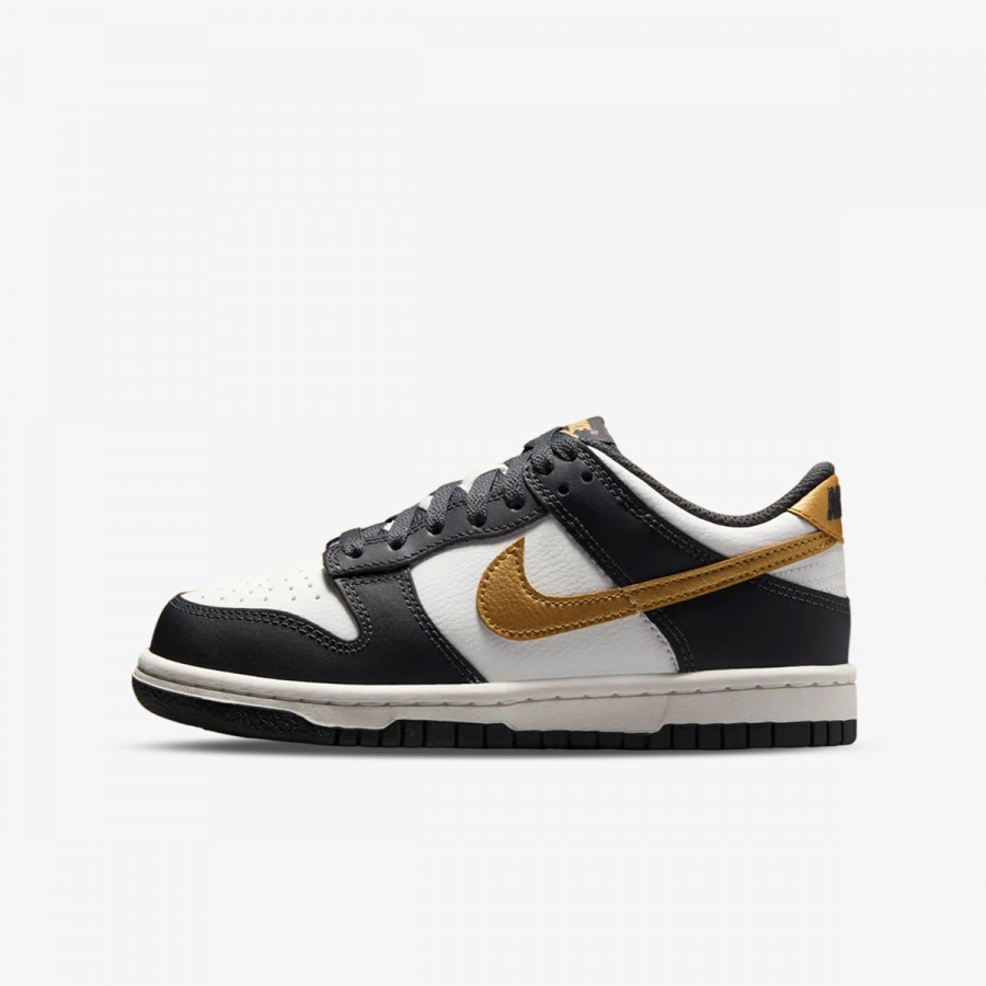 Nike Atlete NIKE DUNK LOW GS 