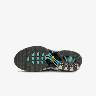 Nike Atlete NIKE AIR MAX PLUS GS MTD 