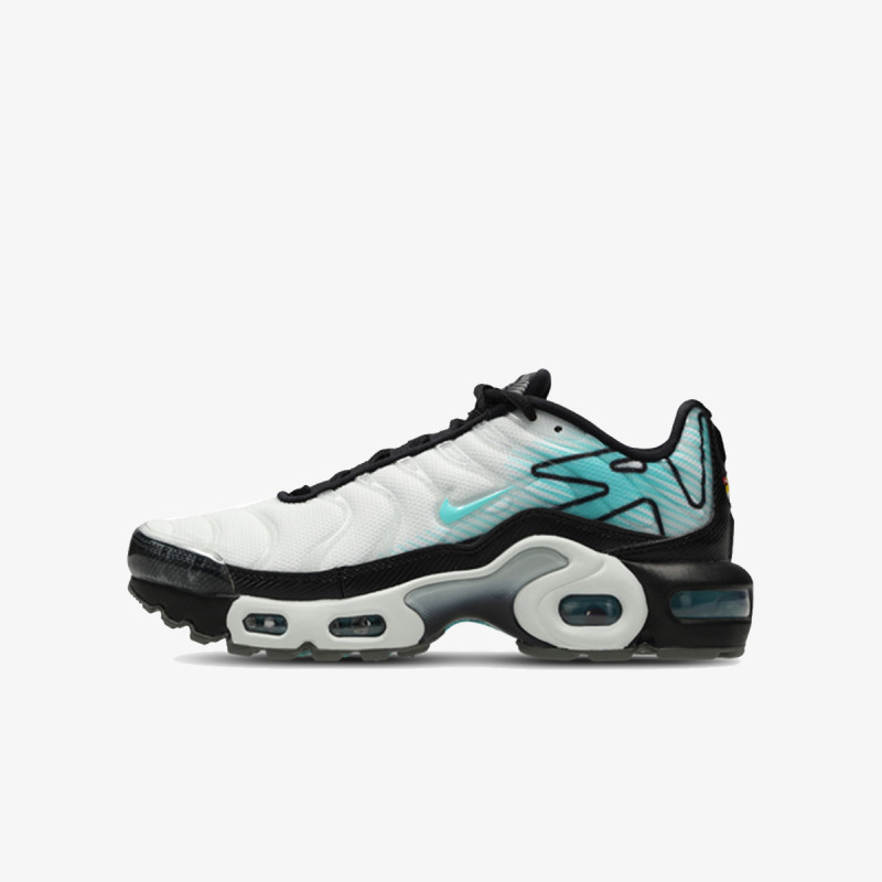 Nike Патики NIKE AIR MAX PLUS GS MTD 