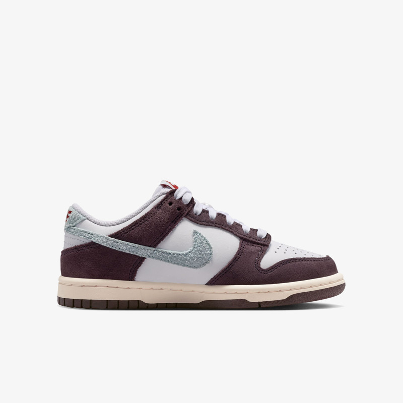 Nike Atlete NIKE DUNK LOW SE 1 BG 
