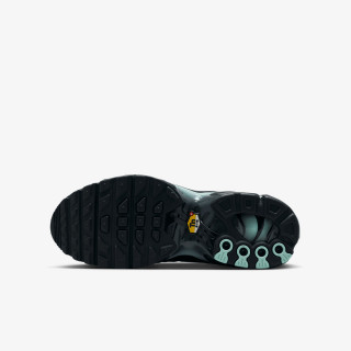 Nike Патики NIKE AIR MAX PLUS GS MTDH 