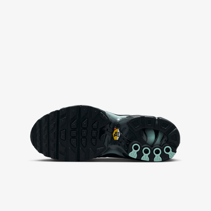 Nike Патики NIKE AIR MAX PLUS GS MTDH 