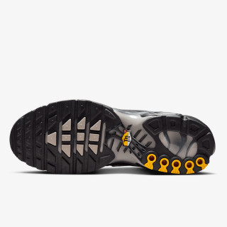Nike Патики NIKE AIR MAX PLUS WNT 