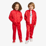 adidas Тренерка FIREBIRD TS AOP 
