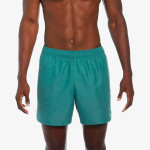 Nike Шорц 5
