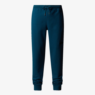 The North Face Pantallona M NSE PANT 